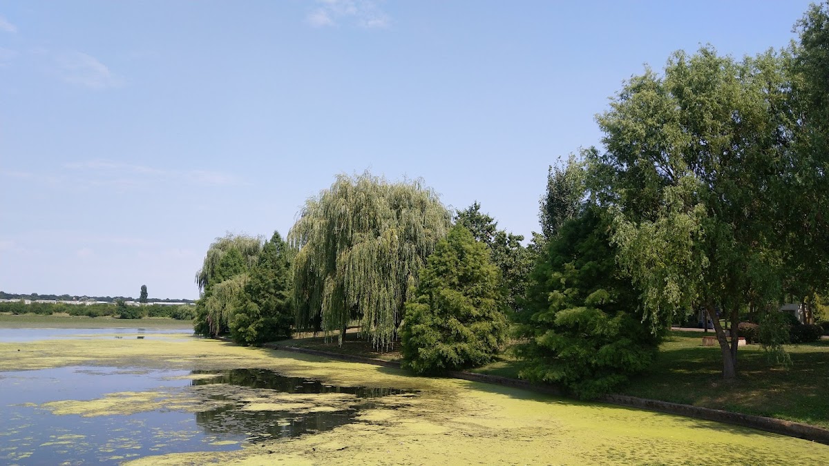 Parc Dendrologique - foto 3