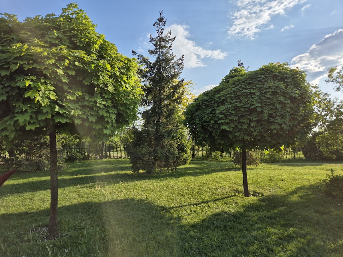 Parc Dendrologique - foto 4