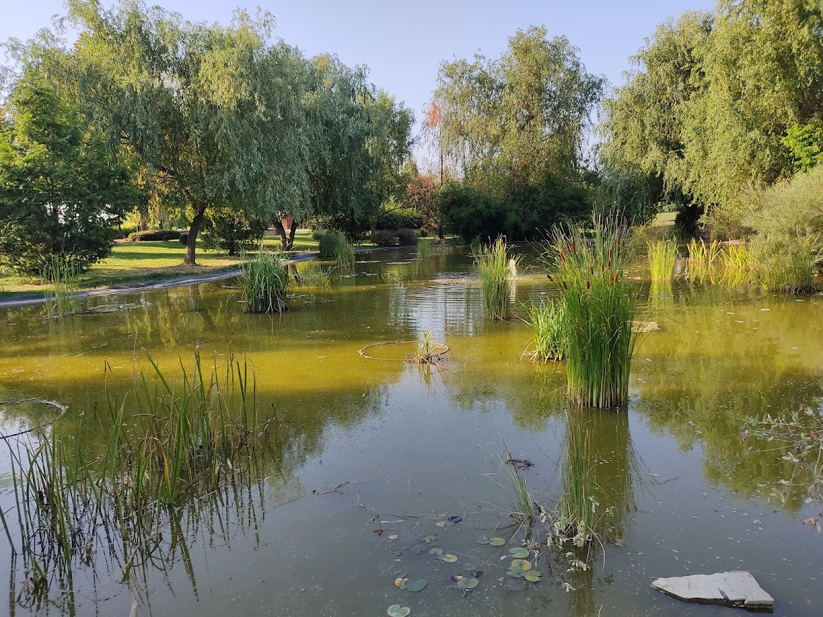 Parc Dendrologique - foto 5