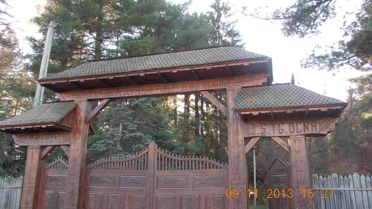 Parc dendrologique Dofteana, département de Bacău