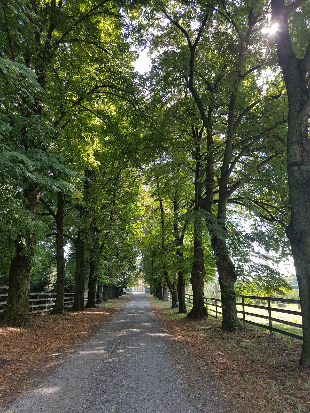 Parco Dendrologico Hemeiuș - foto 2