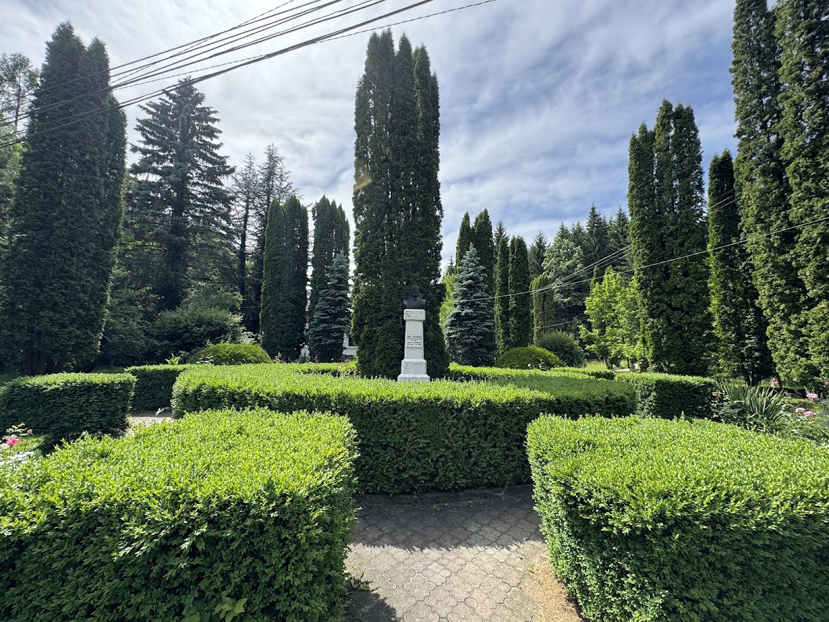 Dendrologischer Park Mihăești - foto 2