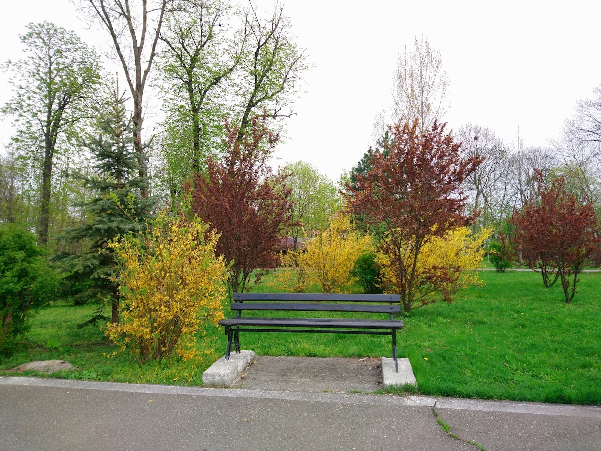 Parcul Dendrologic Roznov - foto 2