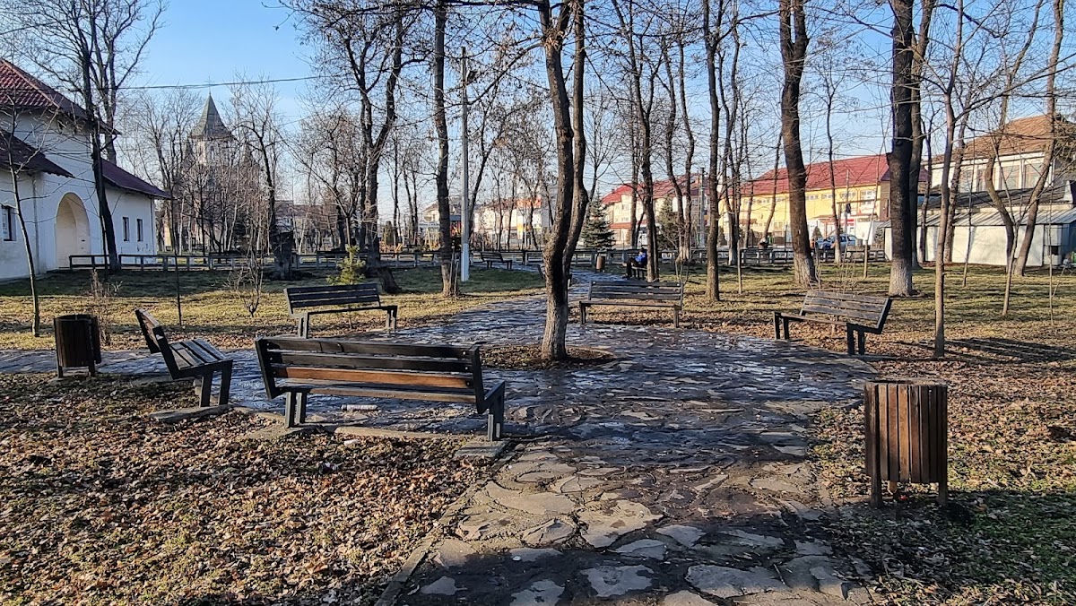 Parcul Dendrologic Roznov - foto 3