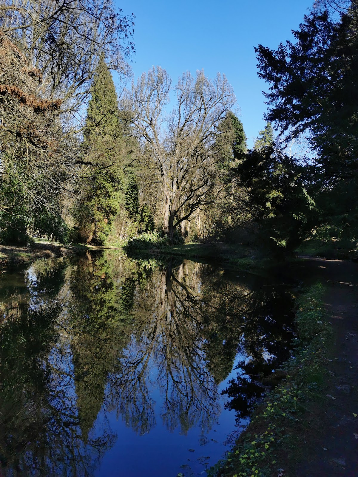 Parcul Dendrologic Simeria - foto 4