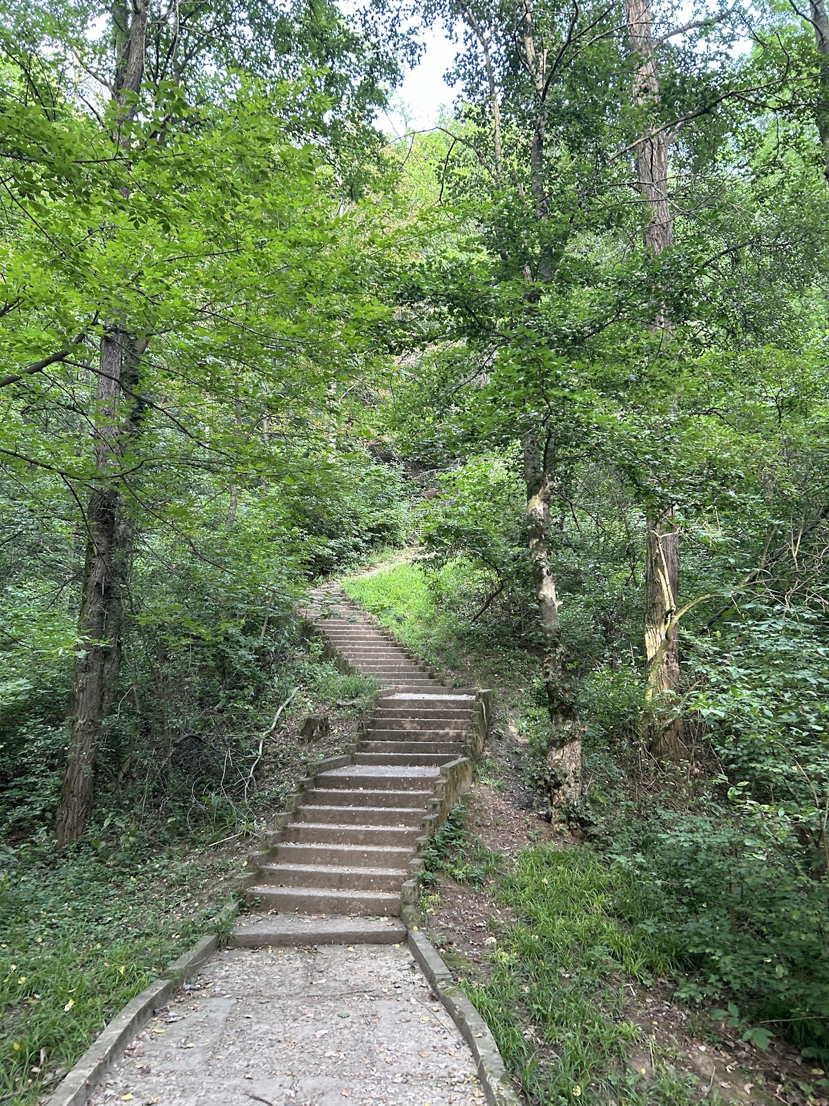 Parcul dendrologic Suceava