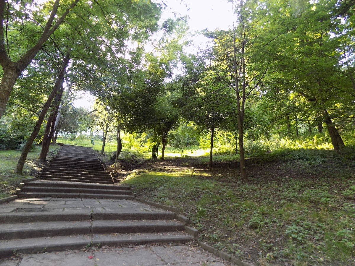 Parcul dendrologic Suceava - foto 5