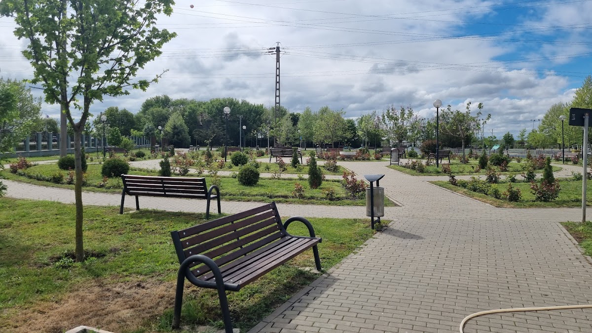 蒂内雷图尔树木园 - foto 2