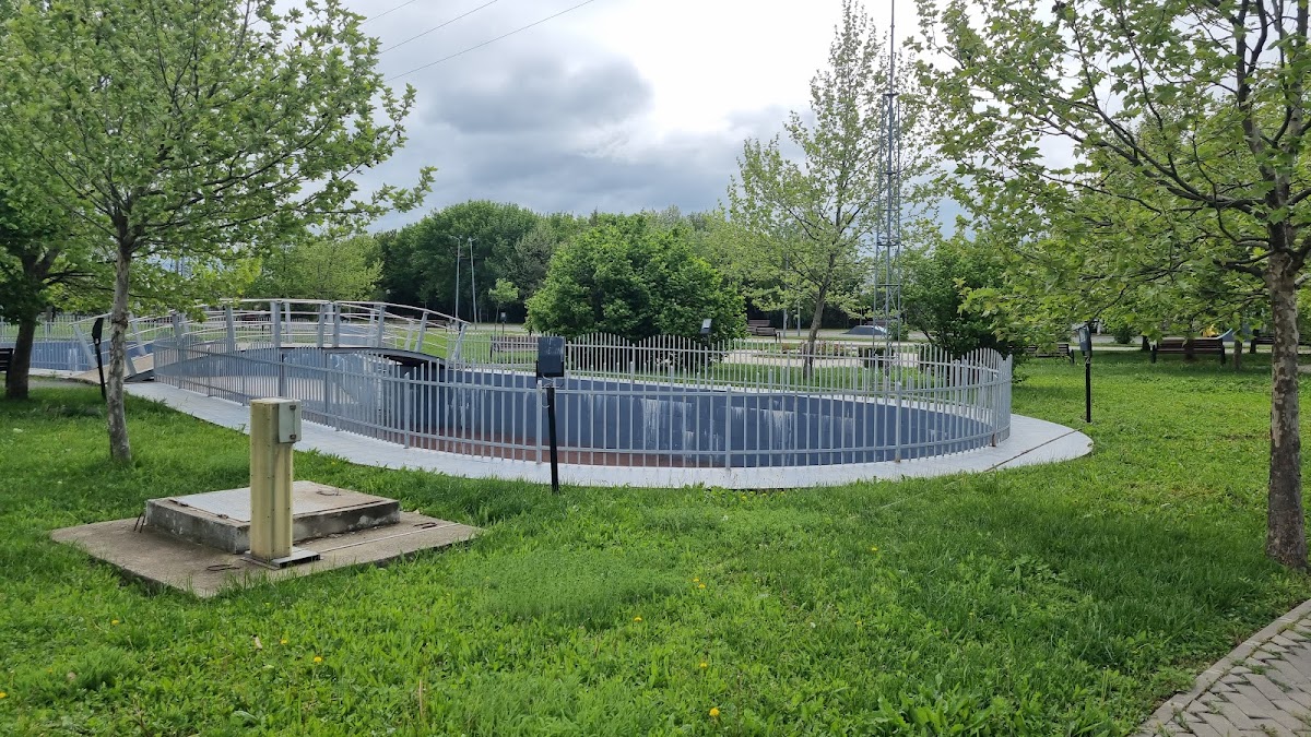 蒂内雷图尔树木园 - foto 3