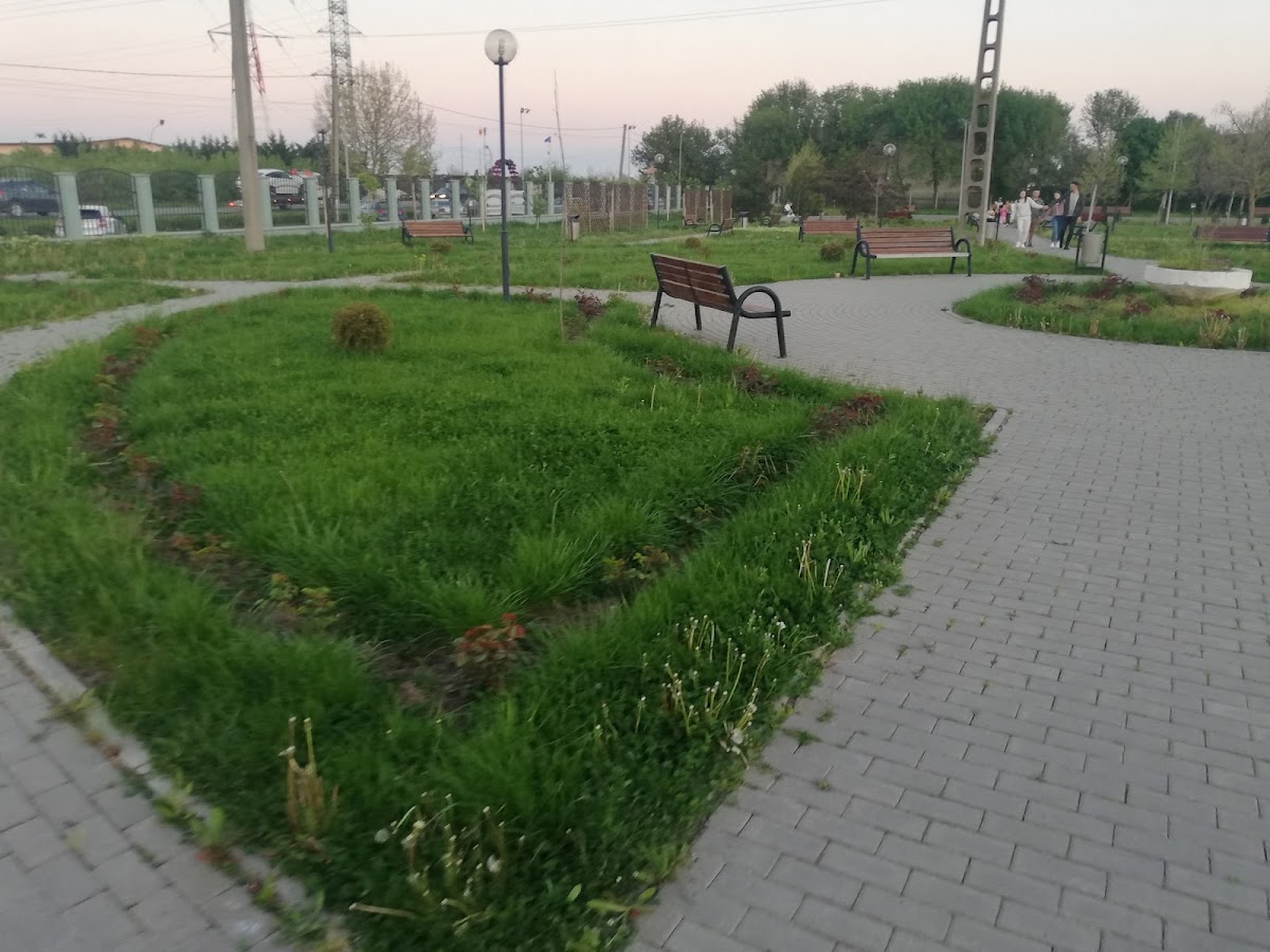 蒂内雷图尔树木园 - foto 4