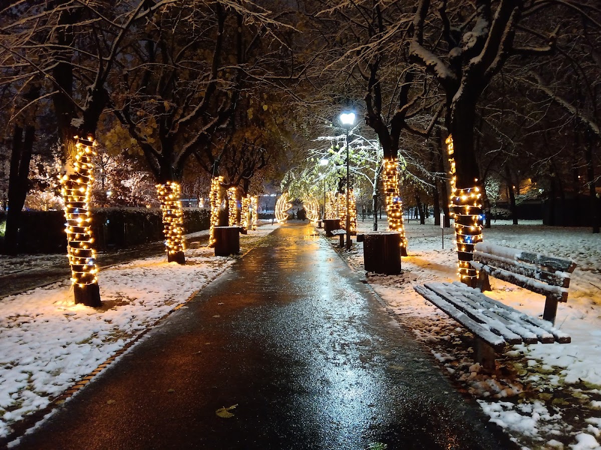 Drumul Taberei Park - foto 4