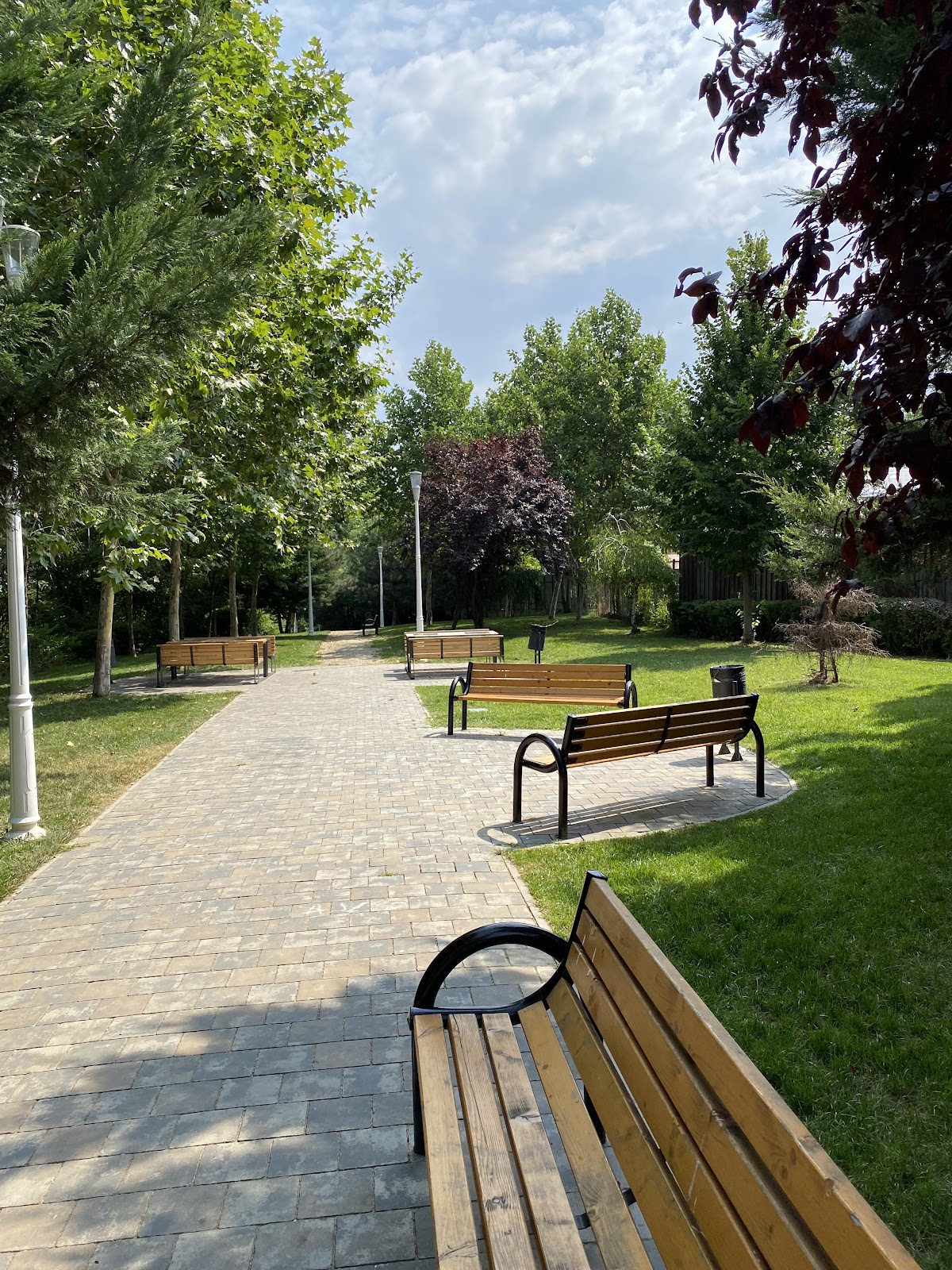 Parcul Ecologic "Dobroeşti" - foto 4