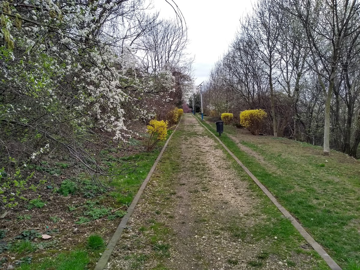 Parcul Ecologic "Dobroeşti" - foto 5