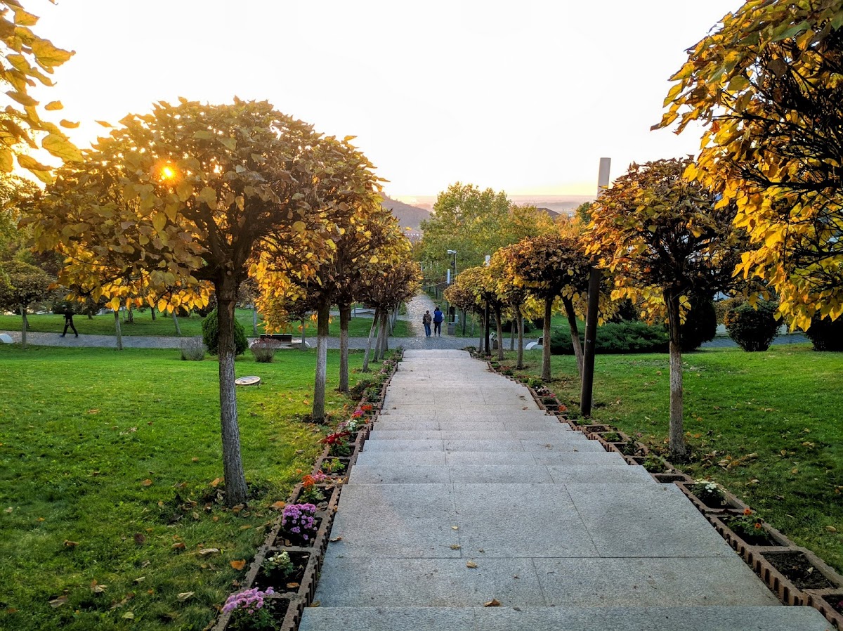 Parcul Esplanada - foto 2