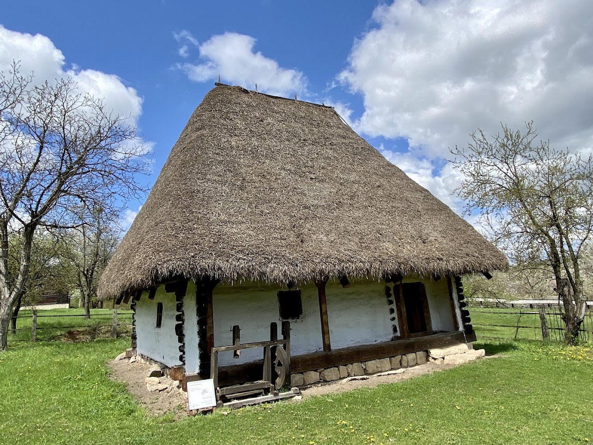 罗穆卢斯·维亚国家民族公园 - foto 2