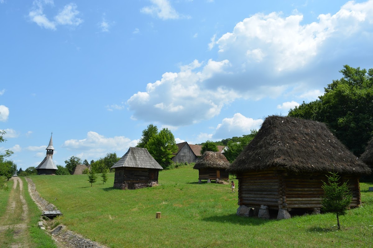 罗穆卢斯·维亚国家民族公园 - foto 3