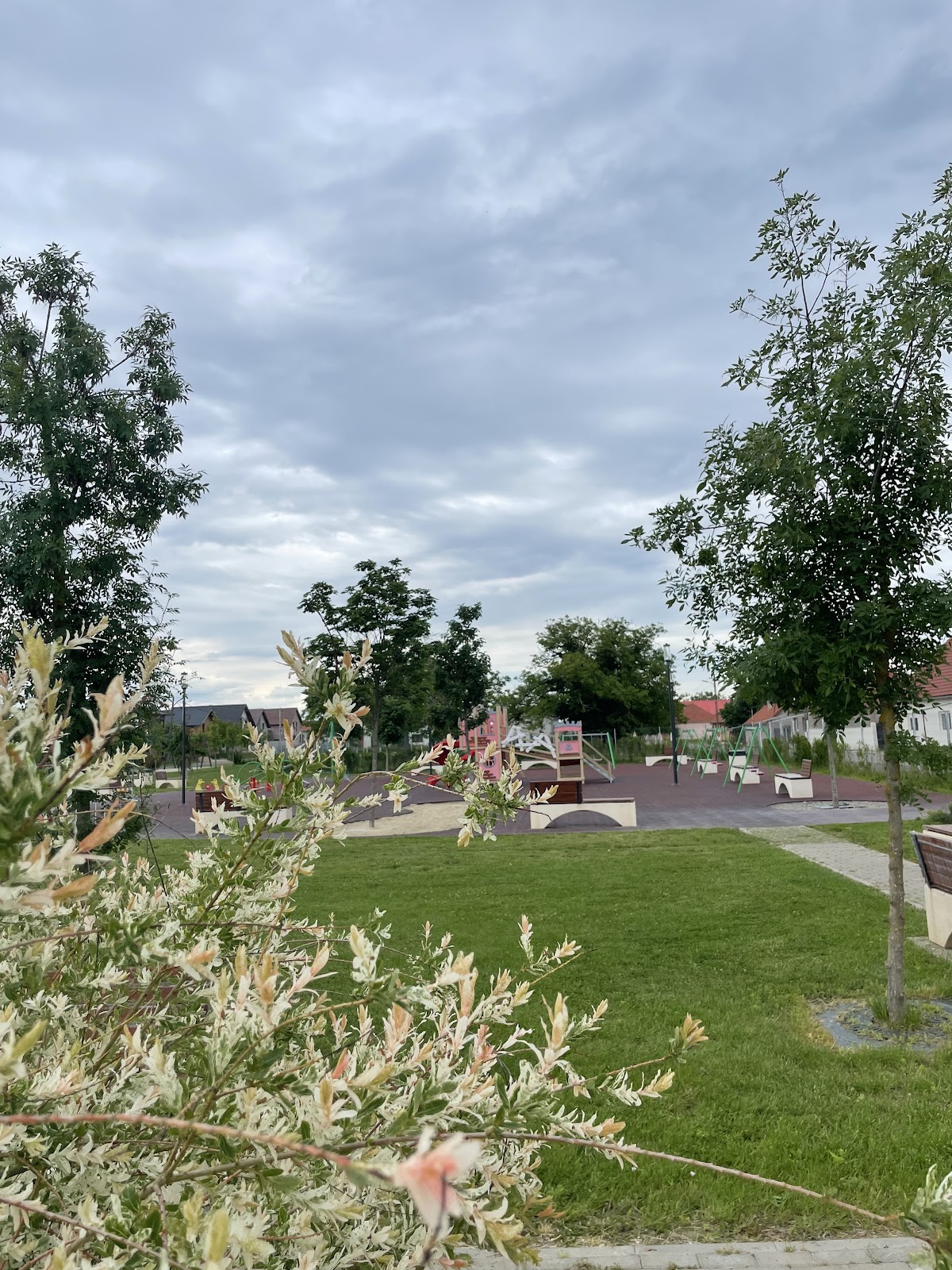 Europa Park - foto 4