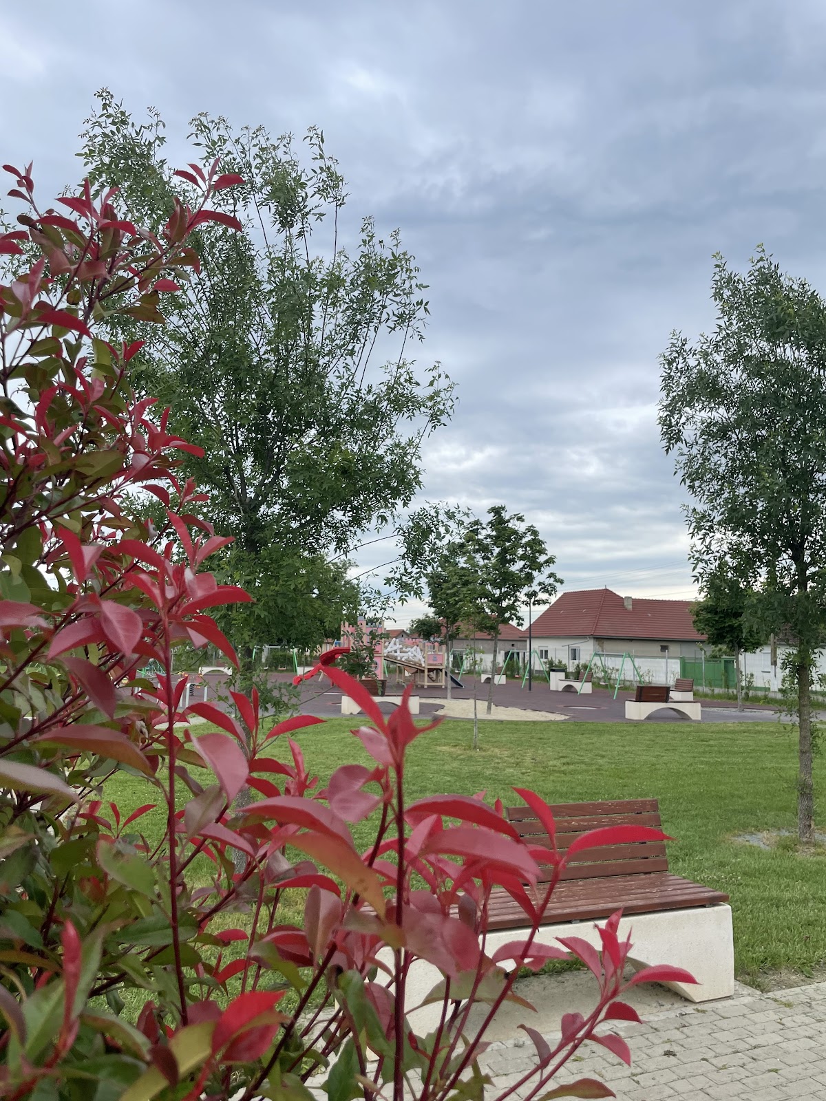 Europa Park - foto 5