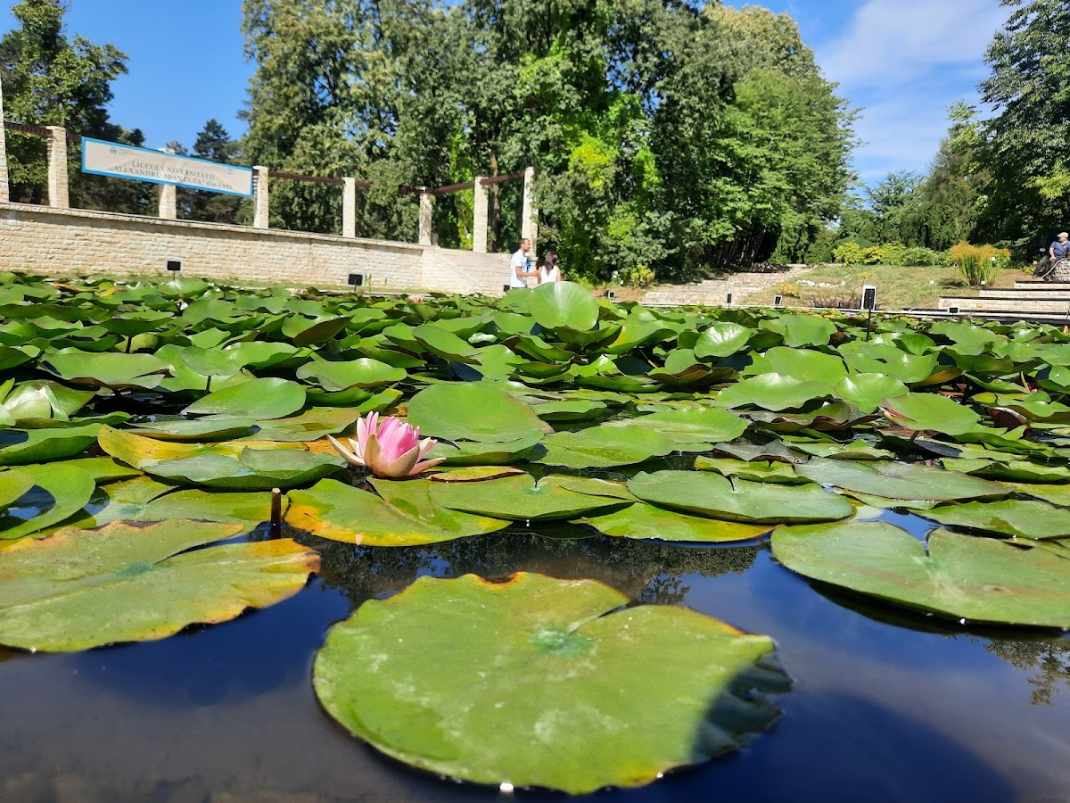 Parcul Expoziției - foto 3