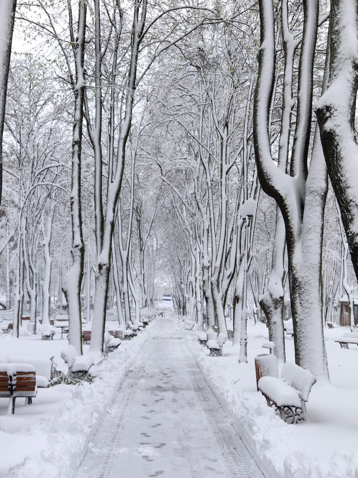 Parcul Expoziției - foto 5
