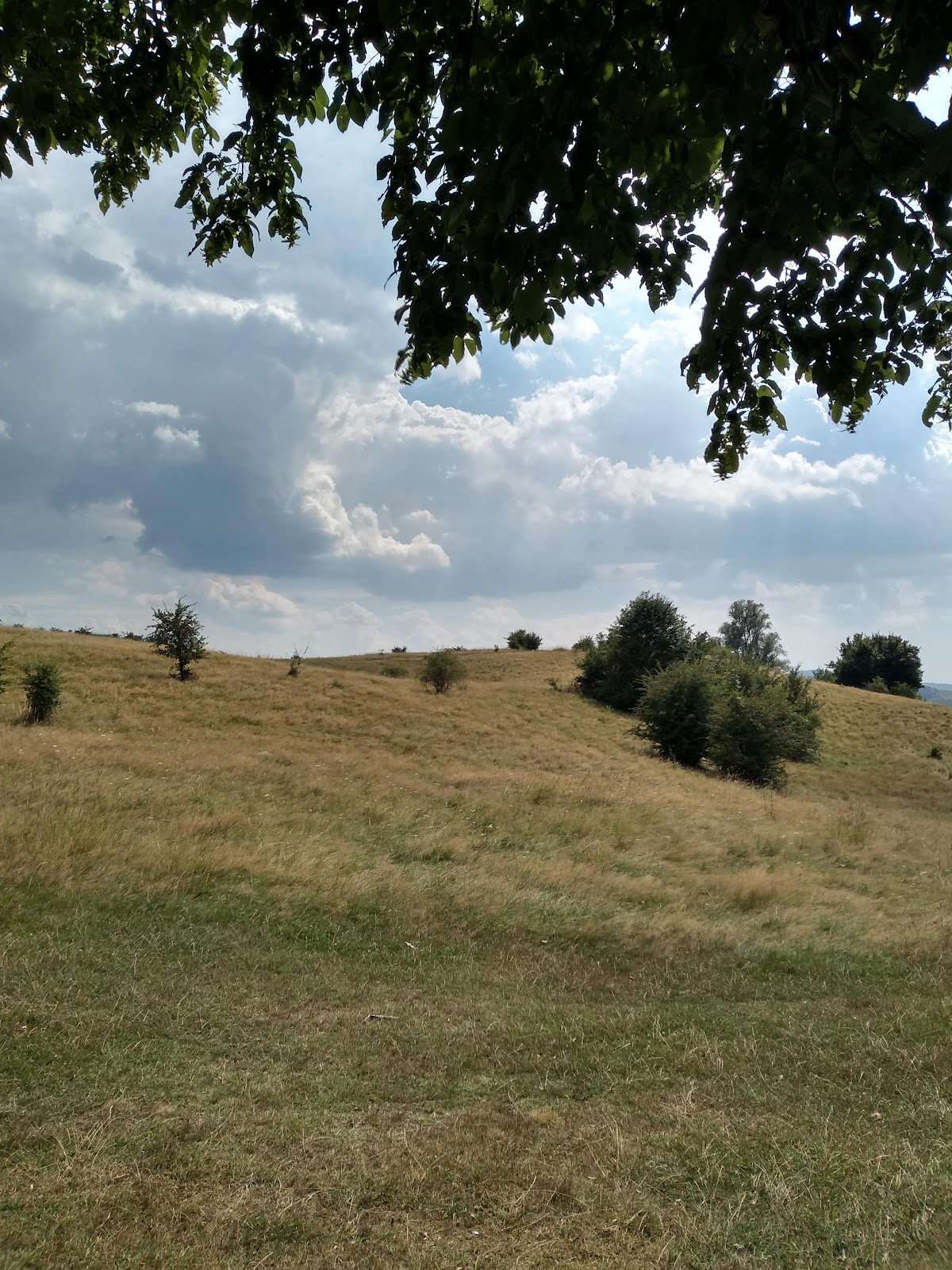 樱桃泉公园 - foto 1