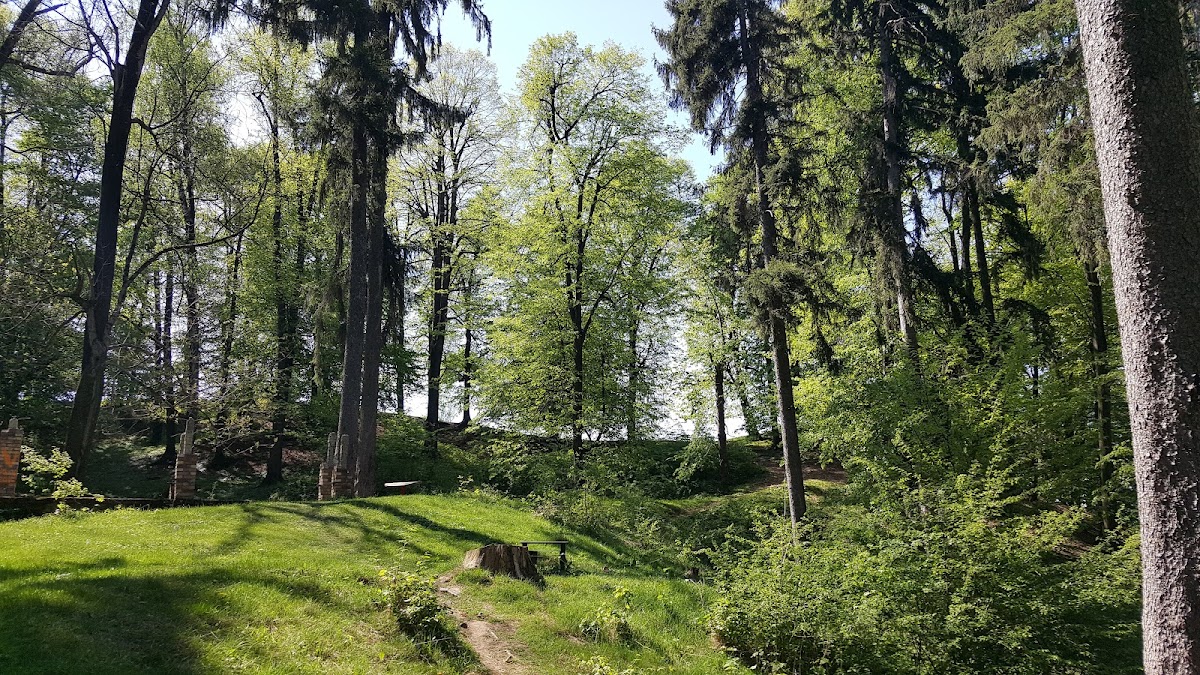 樱桃泉公园 - foto 3