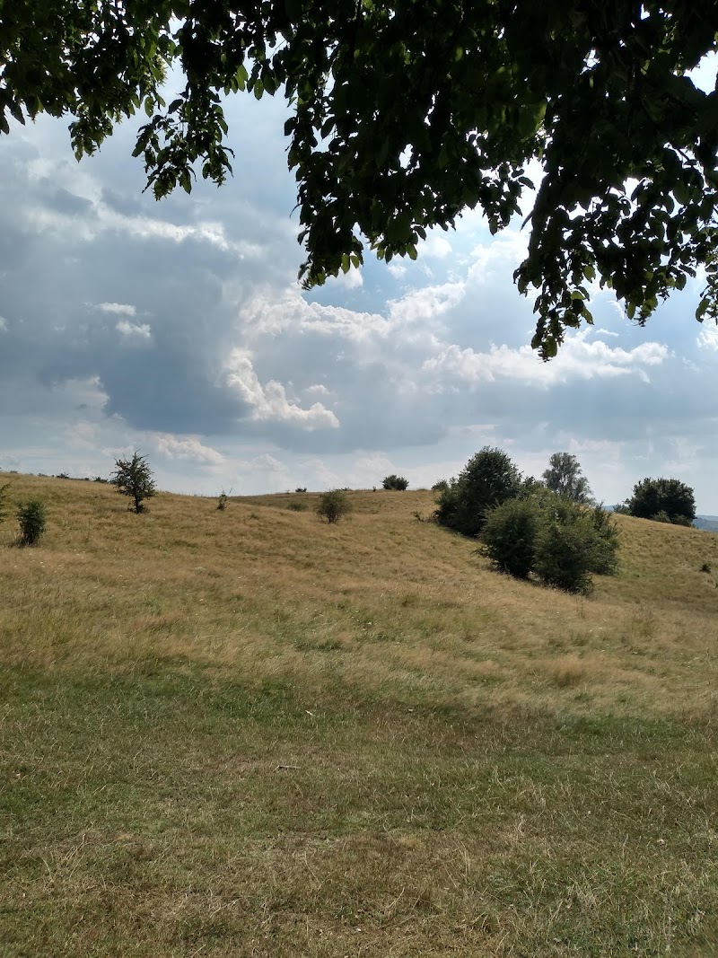 Parcul Fântâna cu Cireși, Câmpina