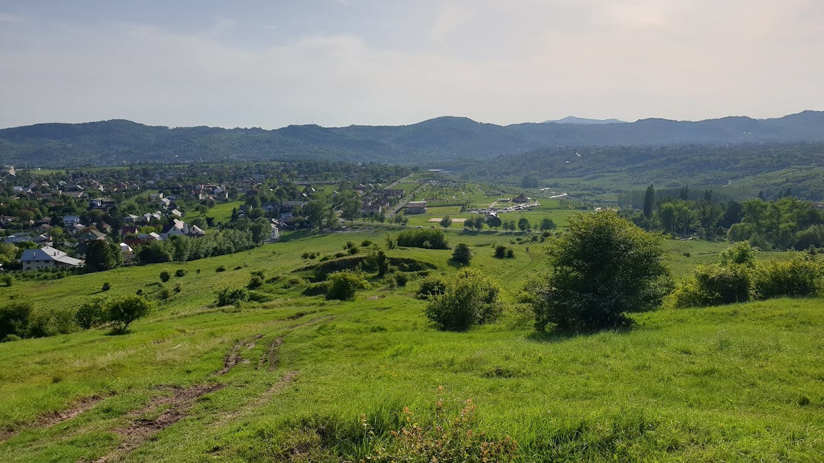 樱桃泉公园 - foto 5