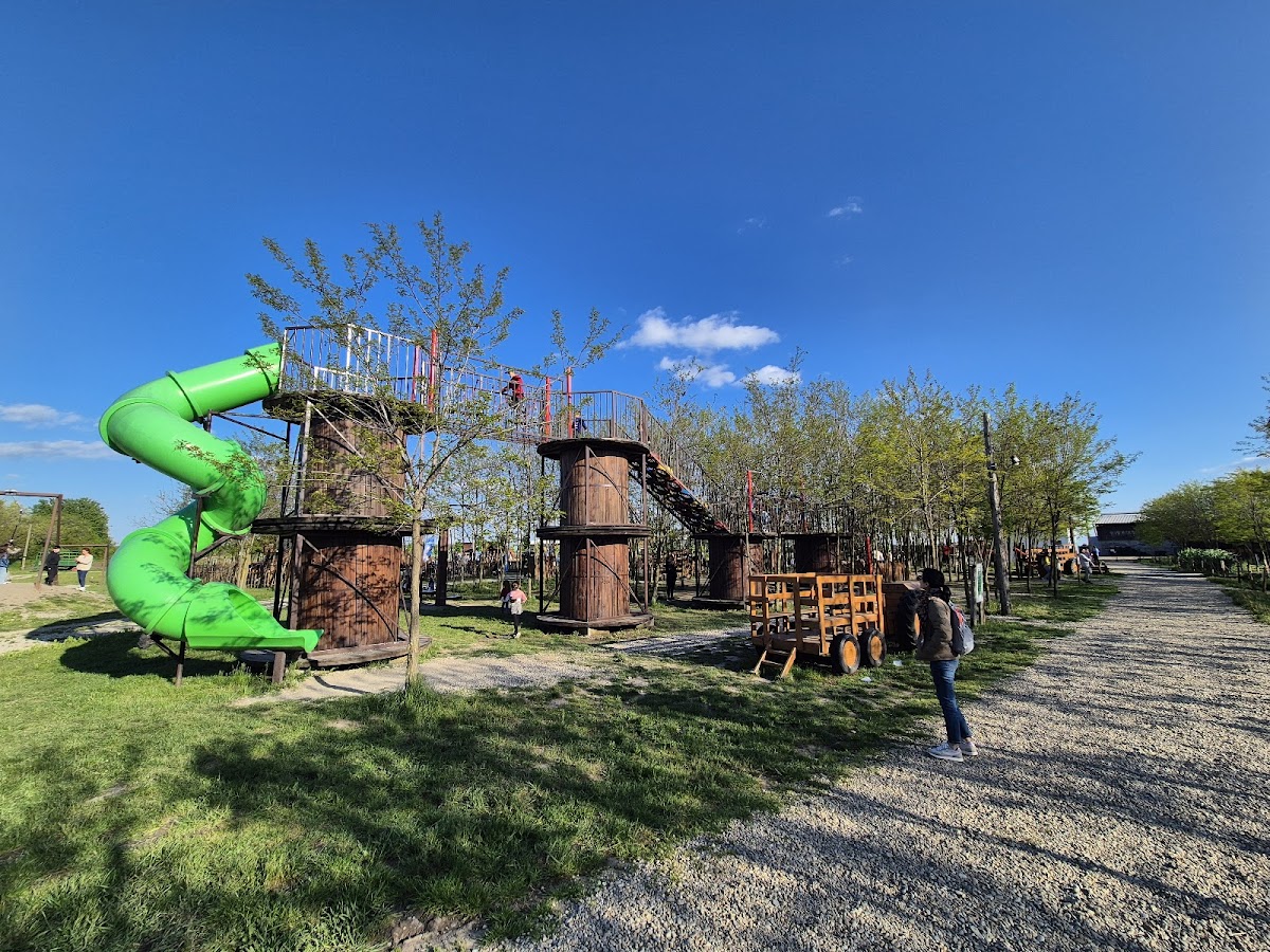 Parcul Ferma Ancuței - foto 4