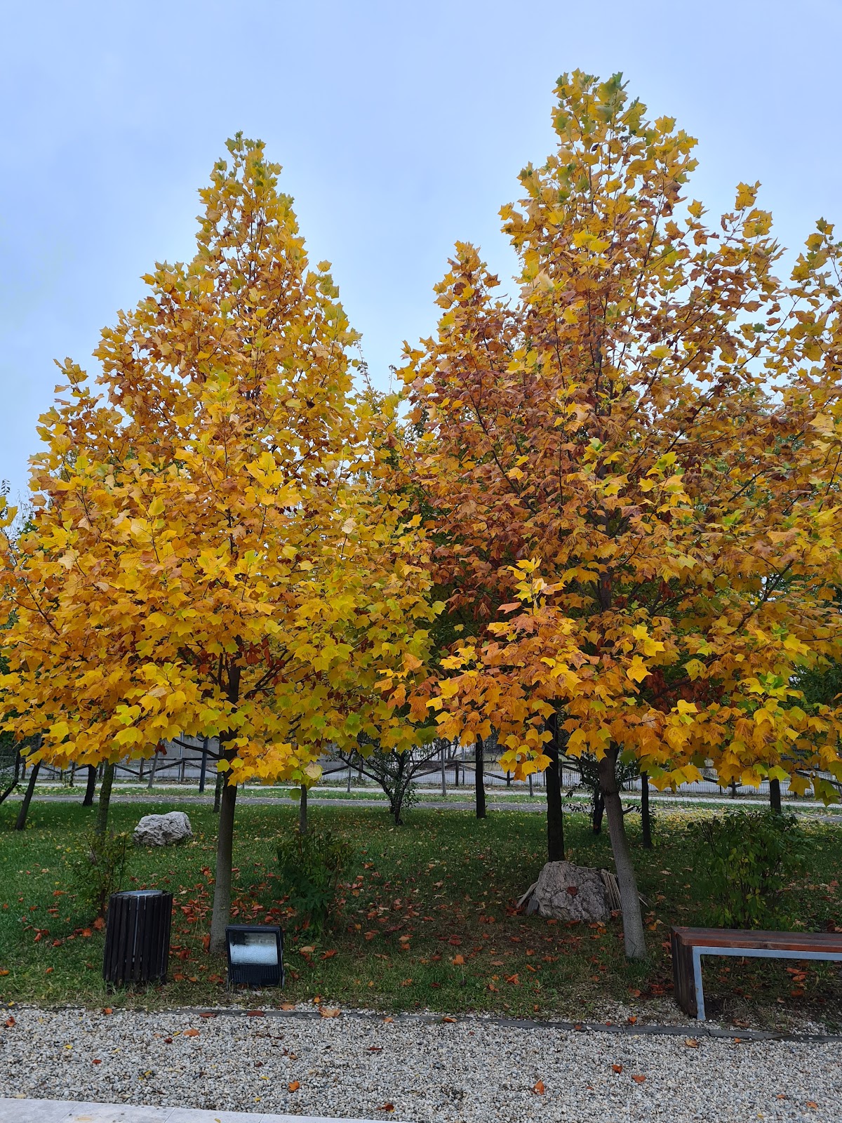 Parcul Flamanzeni - foto 2
