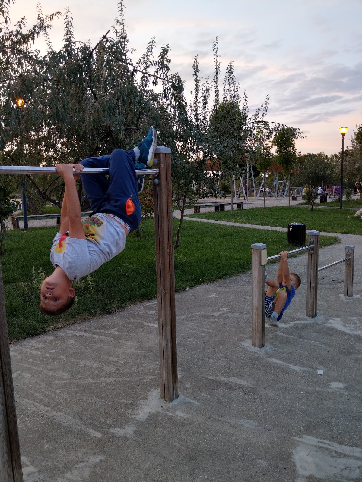 Parcul Flamanzeni - foto 4