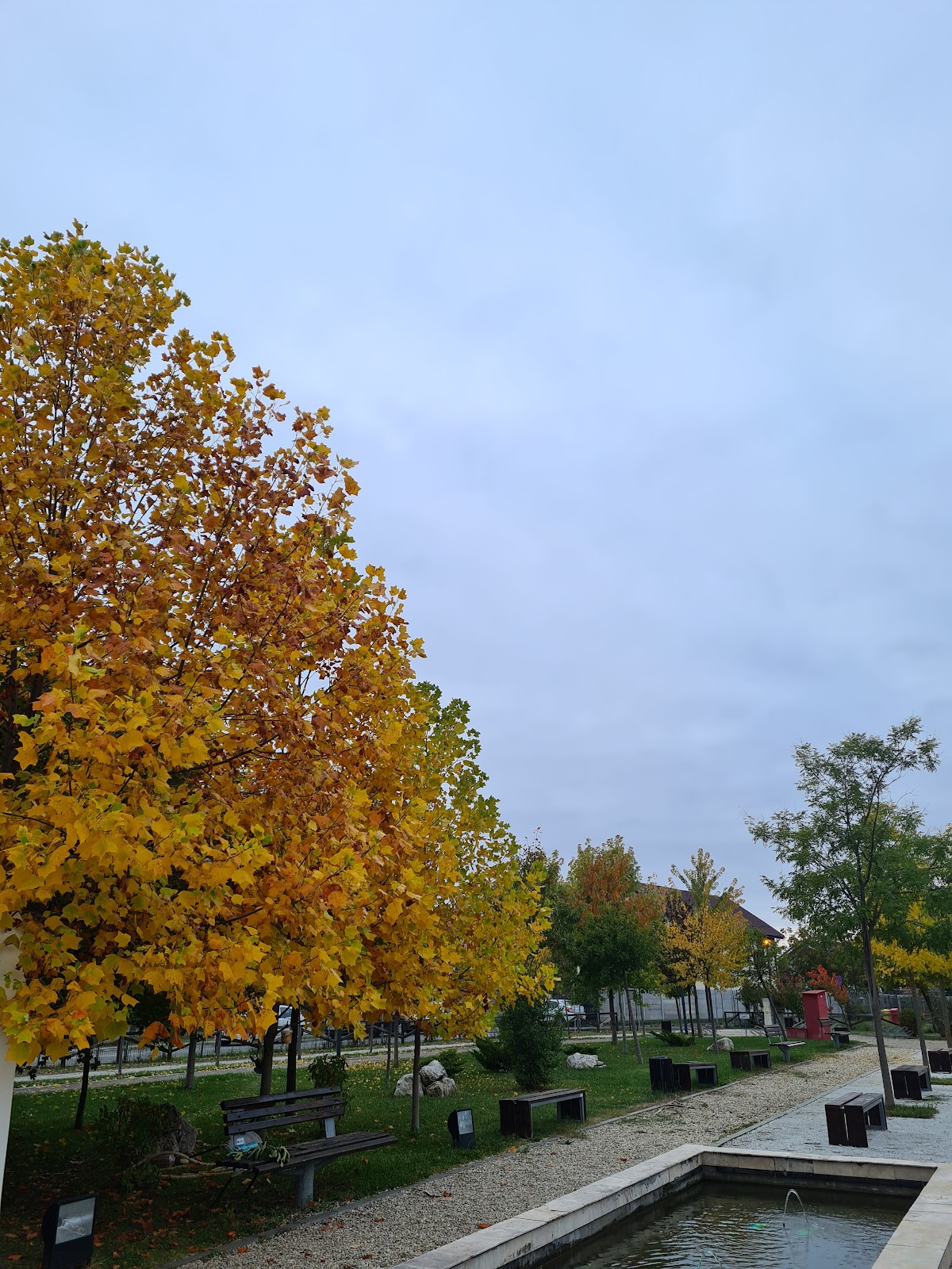 Parcul Flamanzeni - foto 5