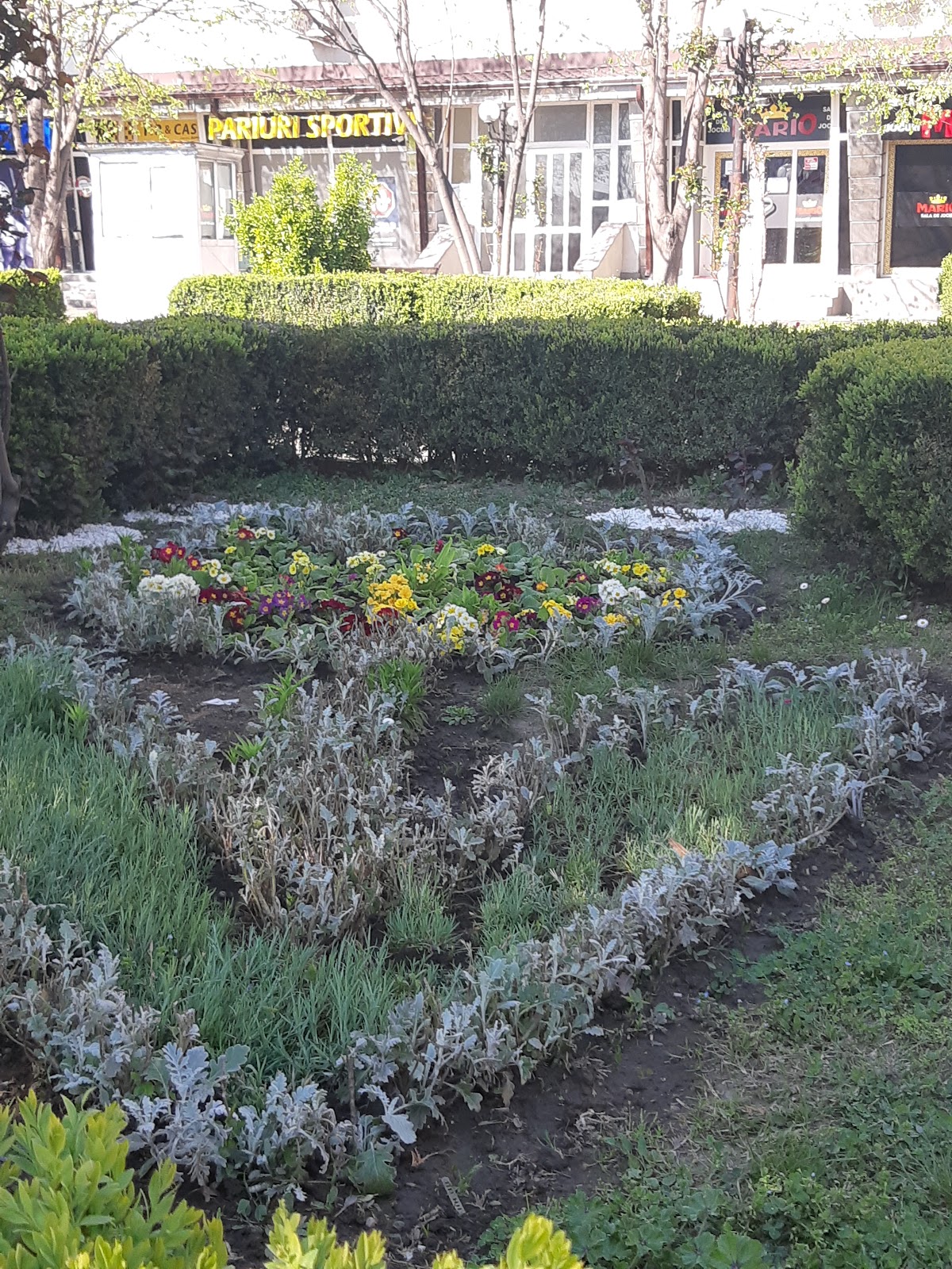 Parcul Florilor - Calarasi - foto 3