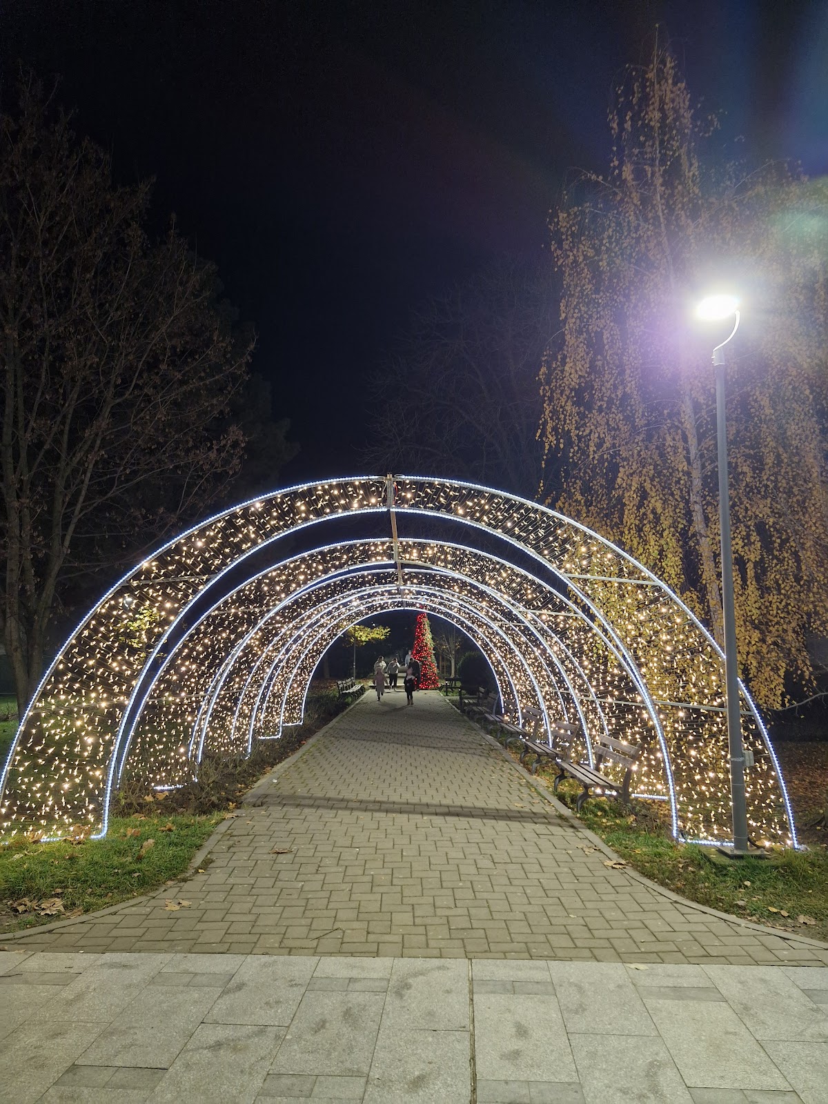 Parco „George Bacovia” - foto 3