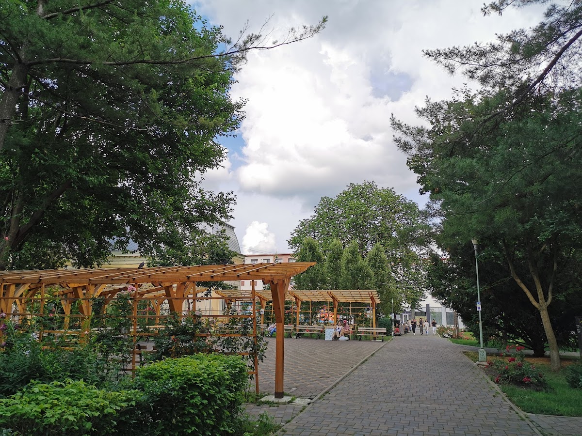 Parco „George Bacovia” - foto 4