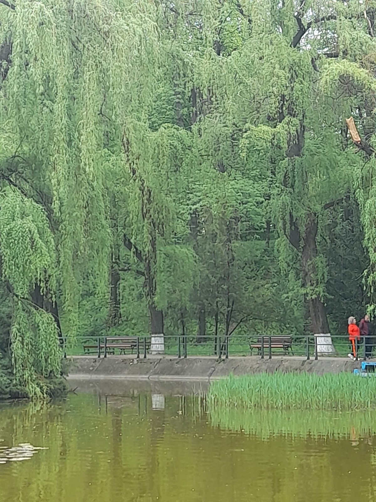 乔治·卡林斯库公园 Onești - foto 4