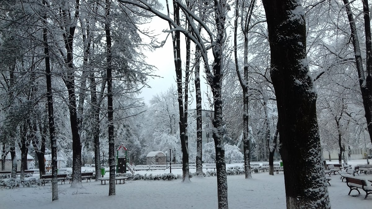 乔治·卡林斯库公园 Onești - foto 5