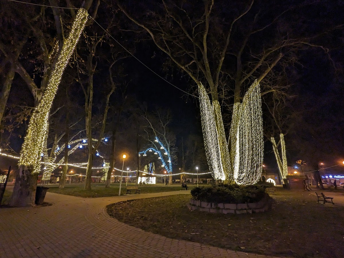 George Enescu Park - foto 2