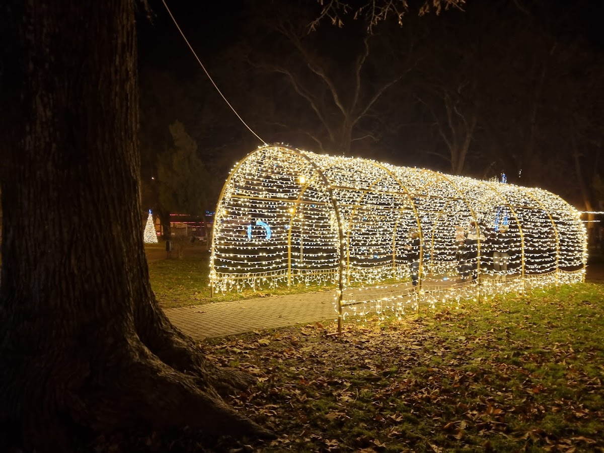 George Enescu Park - foto 3