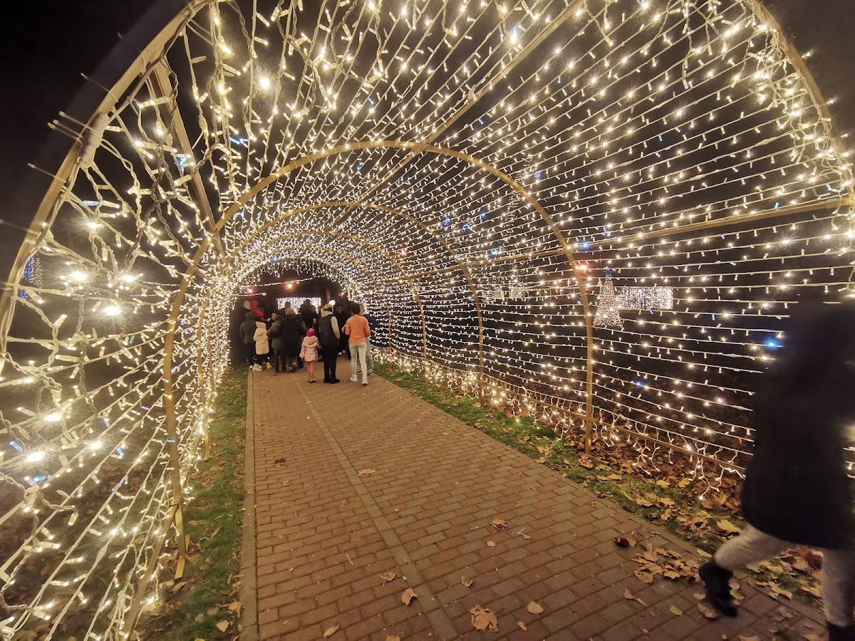George Enescu Park - foto 4