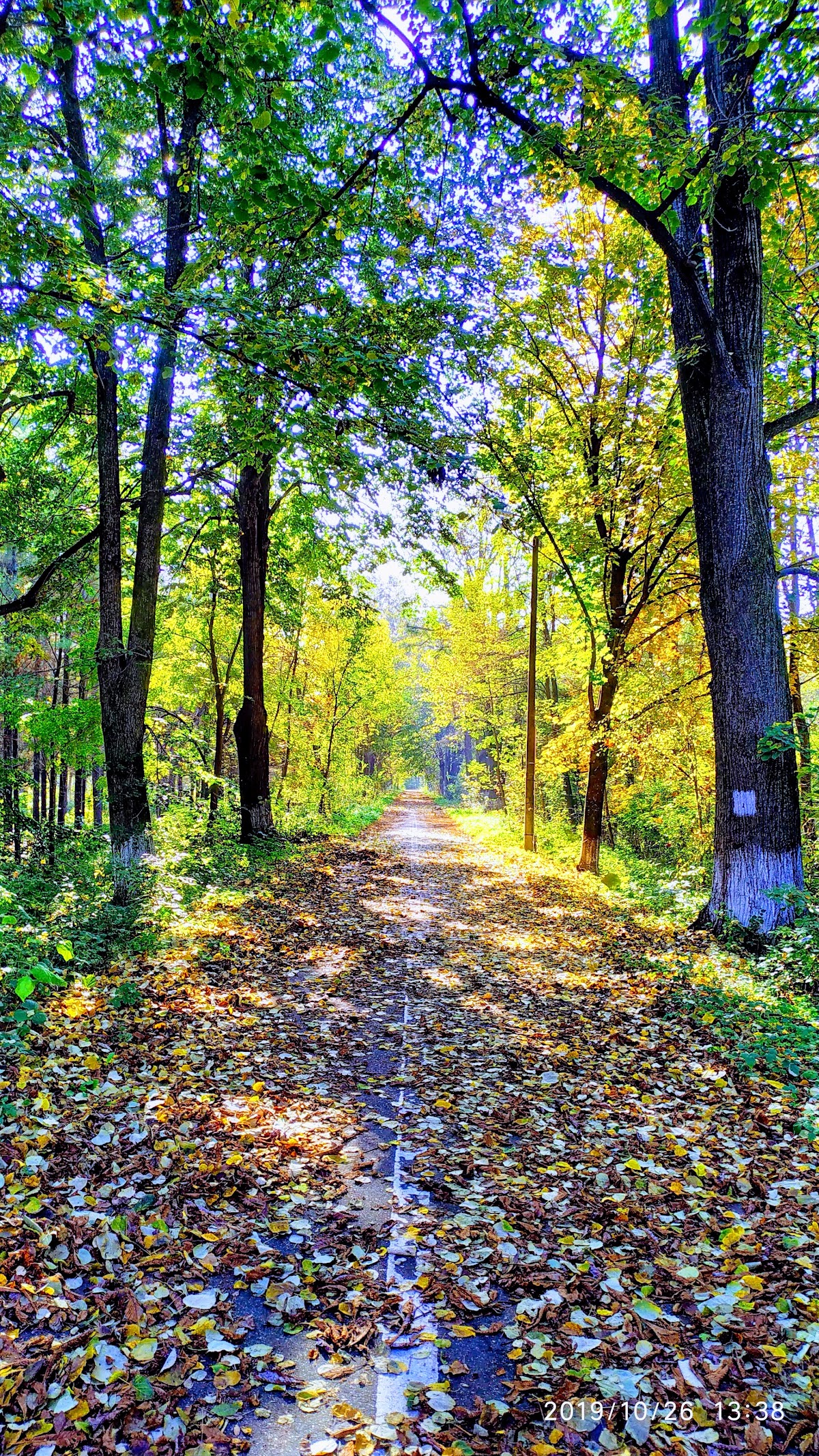 Gherăiești Park Bacău - foto 1