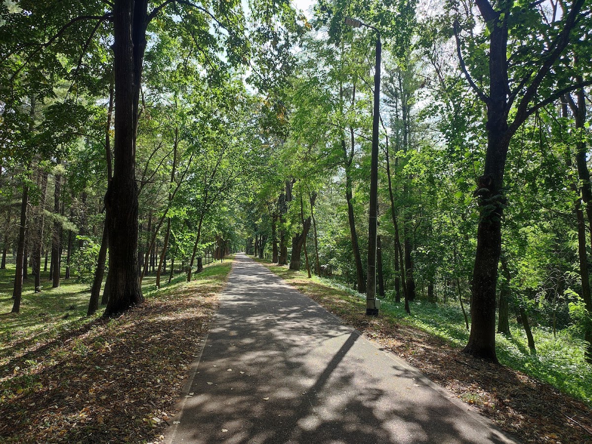 Gherăiești Park Bacău - foto 2