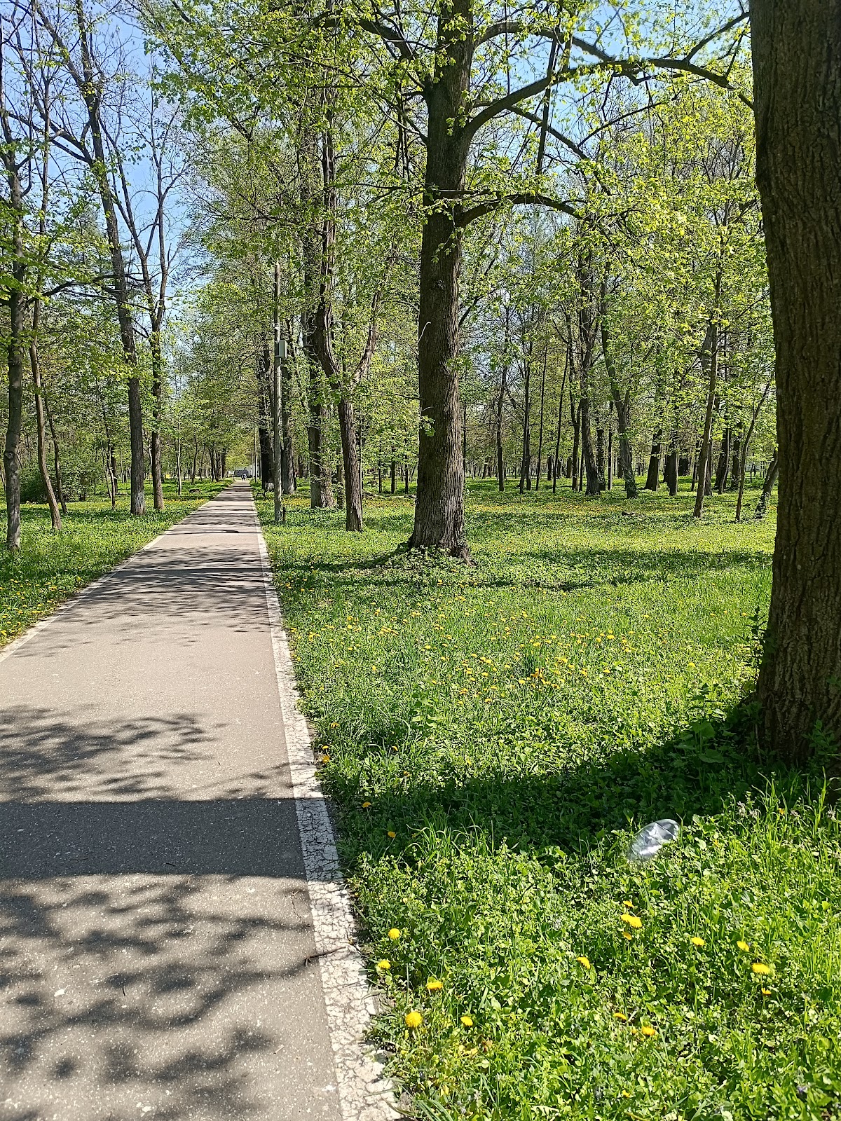 Gherăiești Park Bacău - foto 4