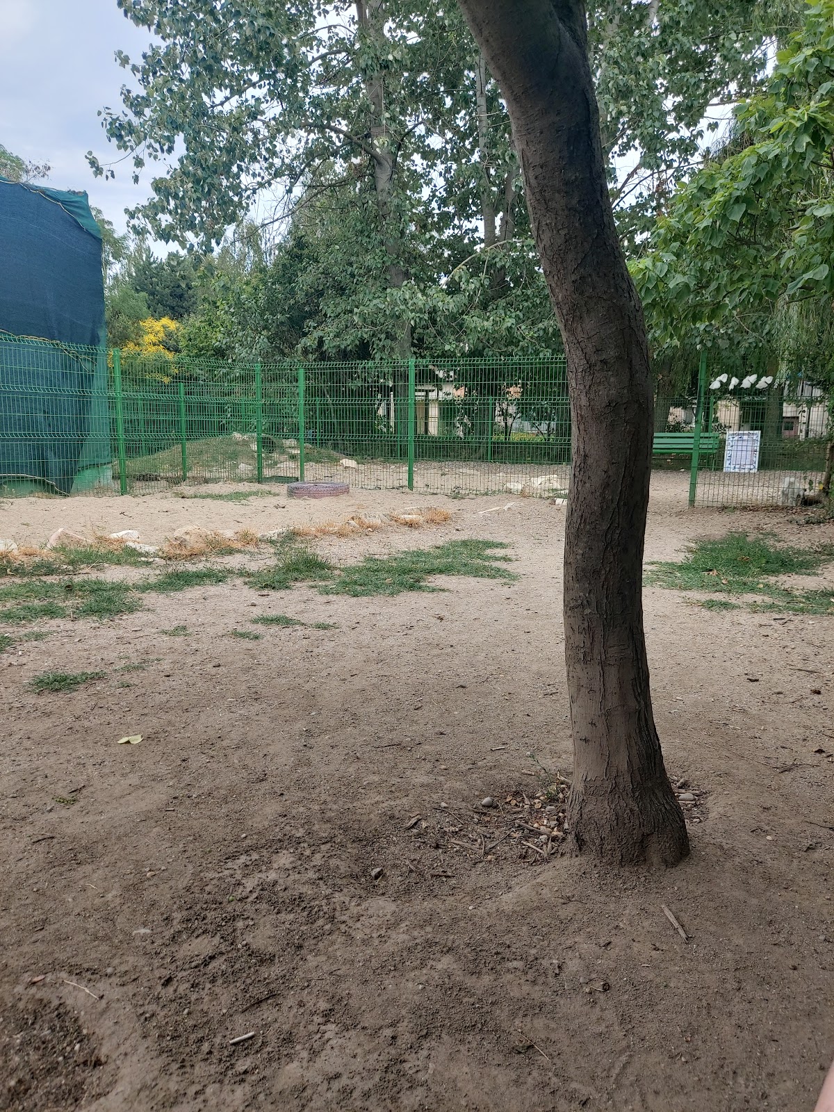 Parcul Ham-Ham 1