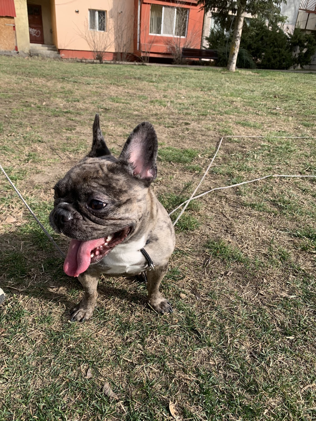 Ham-Ham Park 1 - foto 4
