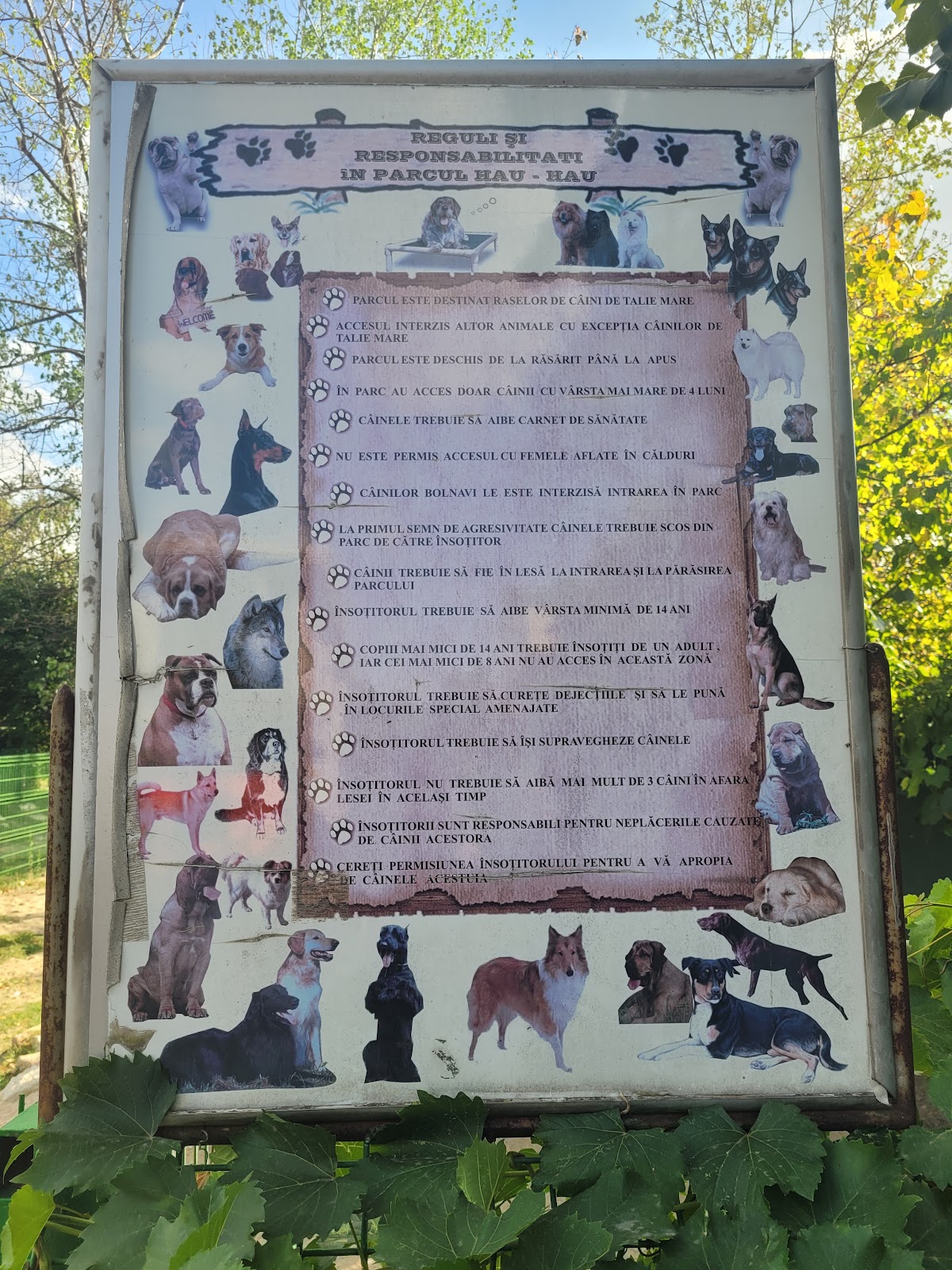 Ham-Ham Park 2 - foto 3