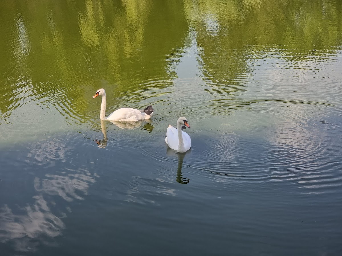 Doctor's Inn Park - foto 5