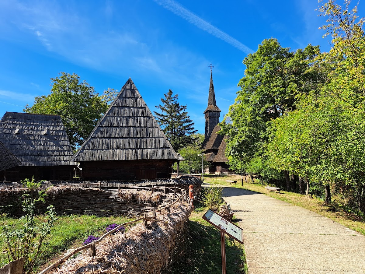 Parcul Herăstrău București - foto 3