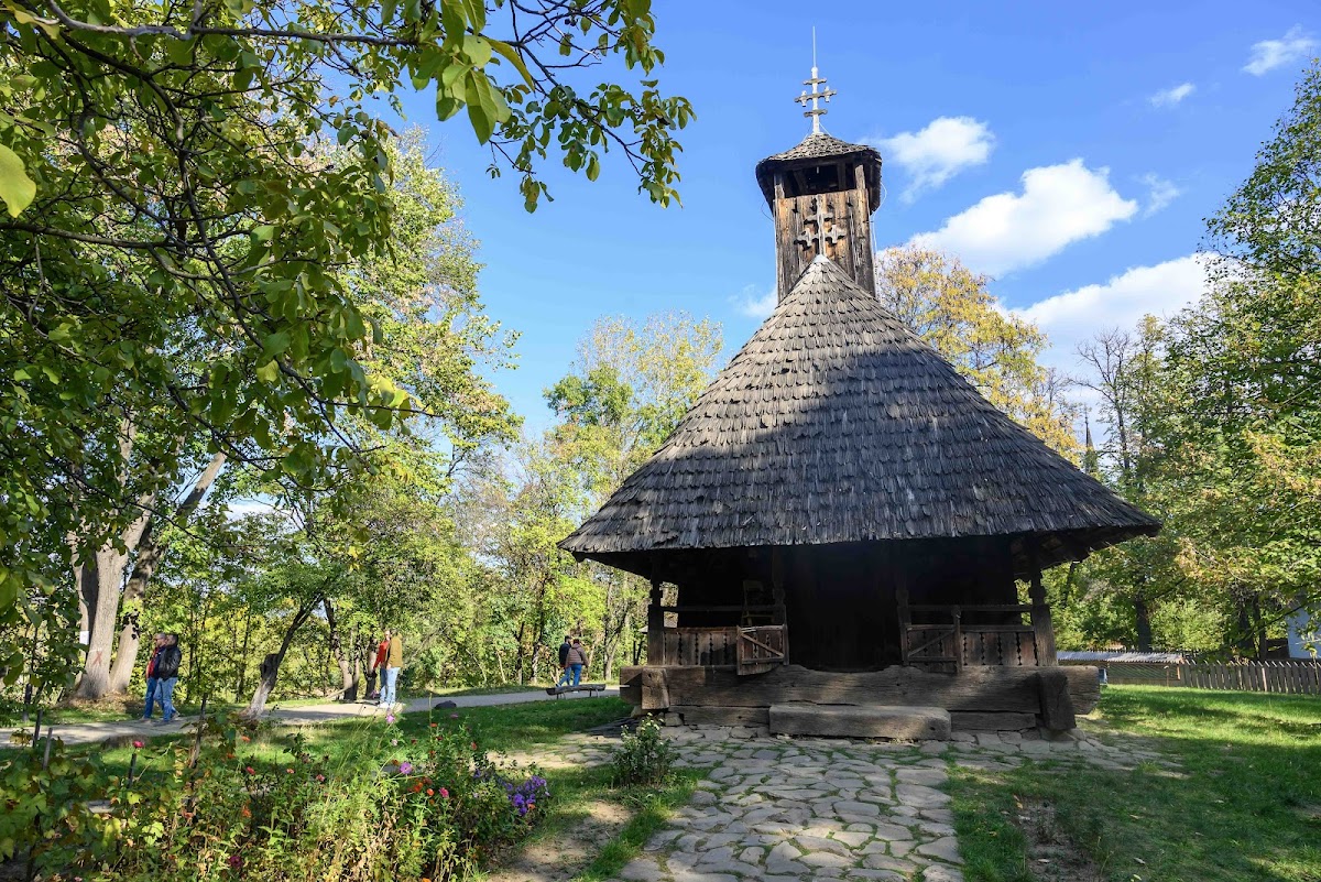 Parcul Herăstrău București - foto 5