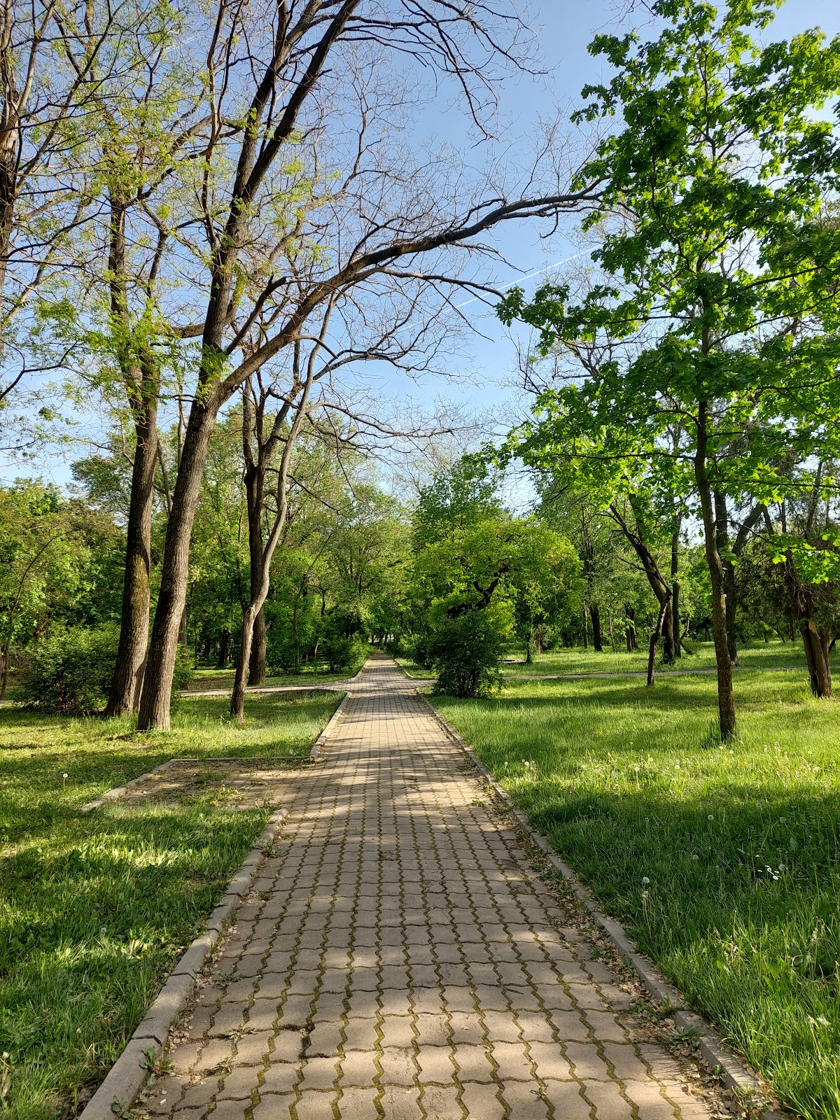 Parcul Ialomița - foto 1